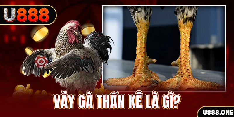 bong99 sòng bạc Đăng ký